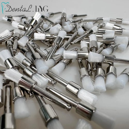 Polishing Prophy Brushes