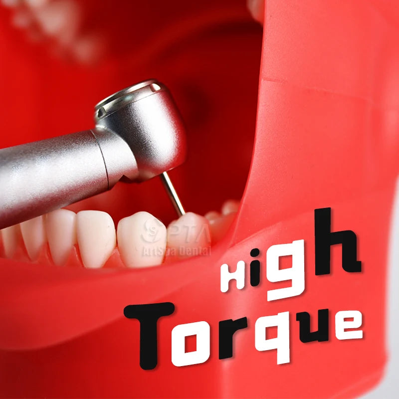 6 Hole Fiber Optic LED High Speed Air Turbine Handpiec