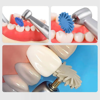 Dental Rubber Polisher