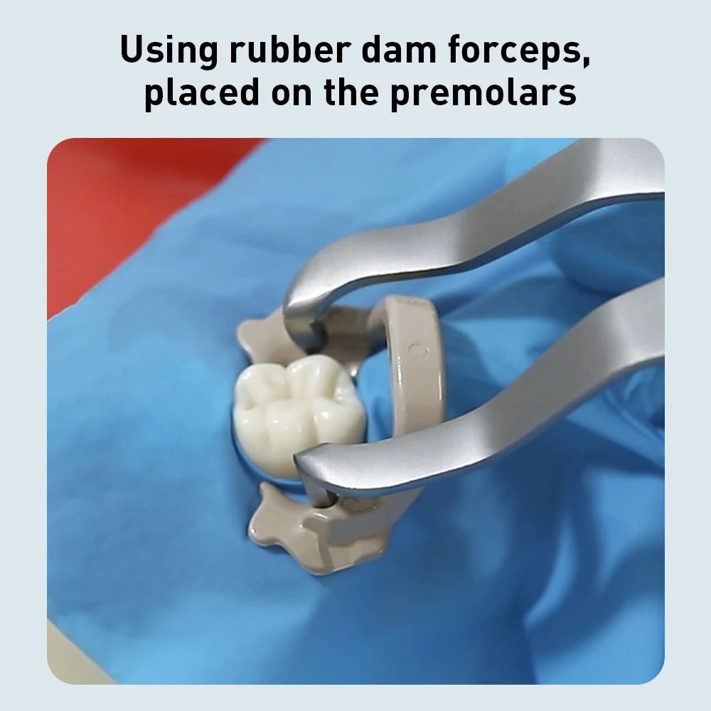 4pcs Resin Rubber Dam Clamps