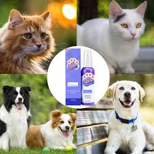 Pet Oral Deodorant spray