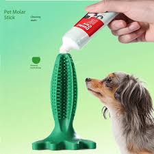 Large/Medium Dogs Chewing Toothbrush