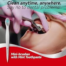 Disposable Pre-pasted  Mini Toothbrushes