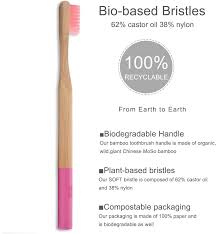 Organic Eco - Friendly Bamboo Toothbrush