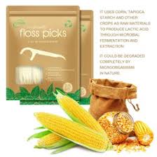 Biodegradable Vegan Toothpick Dental Floss